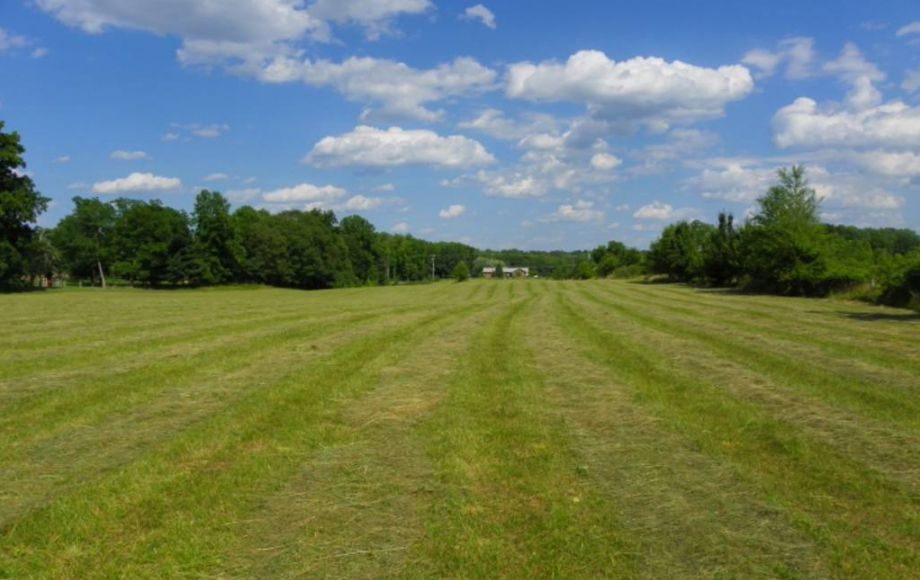 Image for 38 ACRES & 3 BR HOME in SPOTSYLVANIA COUNTY, VA
