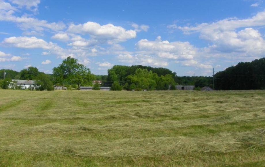 Image for 38 ACRES & 3 BR HOME in SPOTSYLVANIA COUNTY, VA