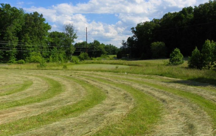 Image for 38 ACRES & 3 BR HOME in SPOTSYLVANIA COUNTY, VA