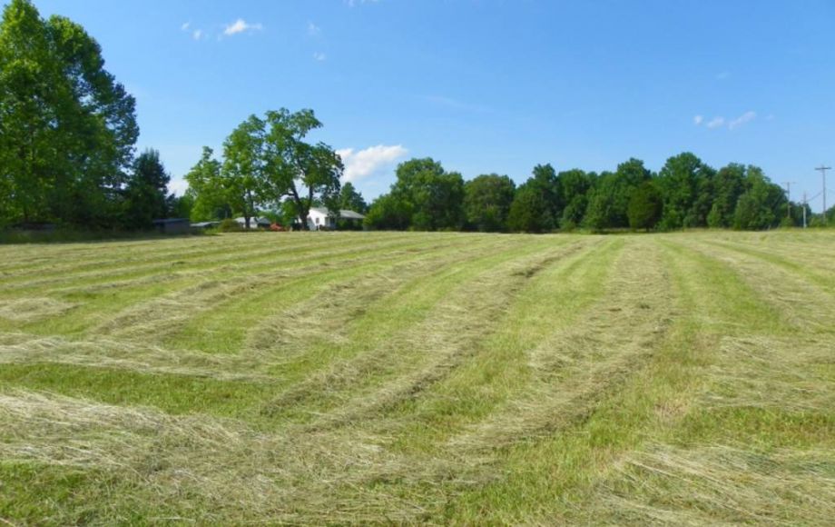 Image for 38 ACRES & 3 BR HOME in SPOTSYLVANIA COUNTY, VA