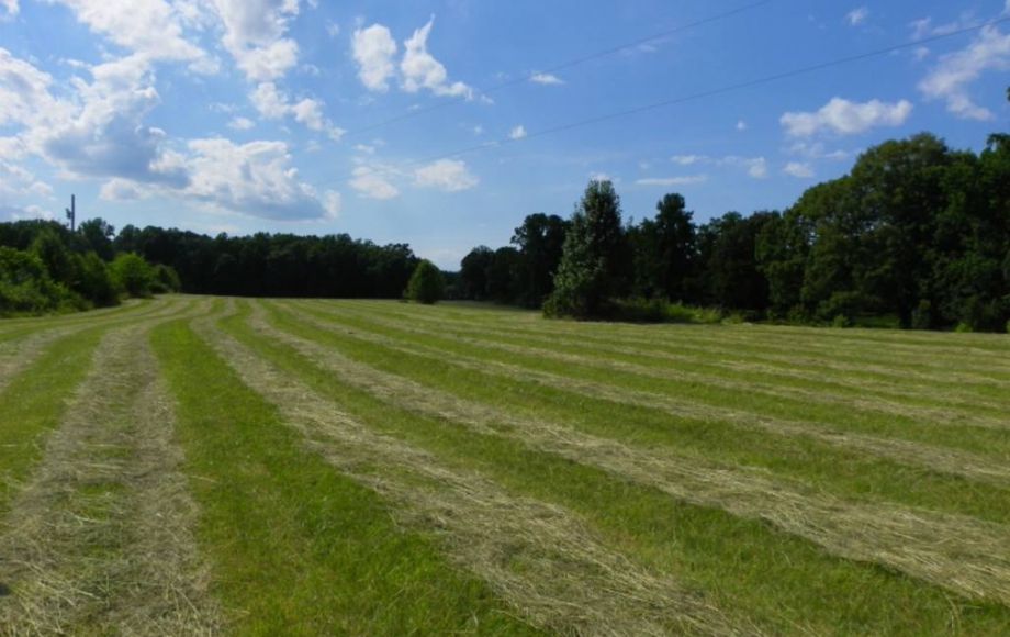 Image for 38 ACRES & 3 BR HOME in SPOTSYLVANIA COUNTY, VA