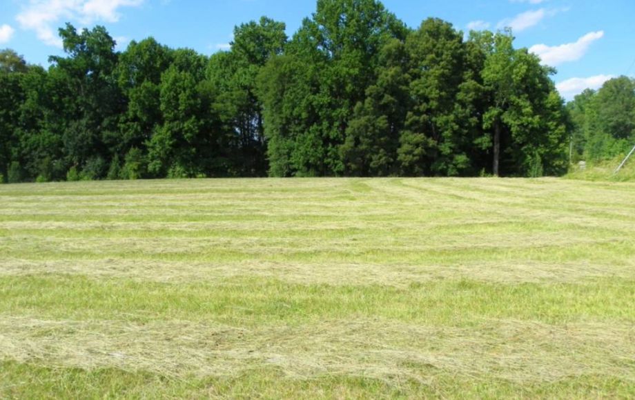Image for 38 ACRES & 3 BR HOME in SPOTSYLVANIA COUNTY, VA