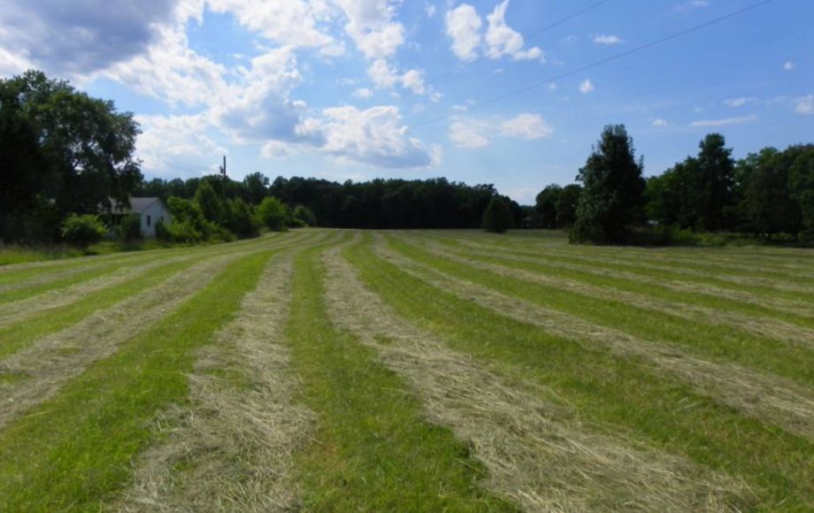Image for 38 ACRES & 3 BR HOME in SPOTSYLVANIA COUNTY, VA