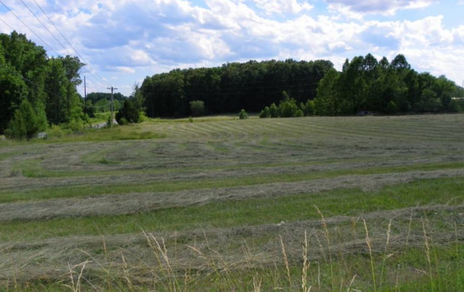 Image for 38 ACRES & 3 BR HOME in SPOTSYLVANIA COUNTY, VA