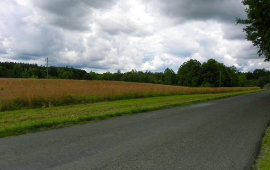 Image for 122 ACRES in LOUISA COUNTY NEAR HANOVER COUNTY LINE & LAKE ANNA