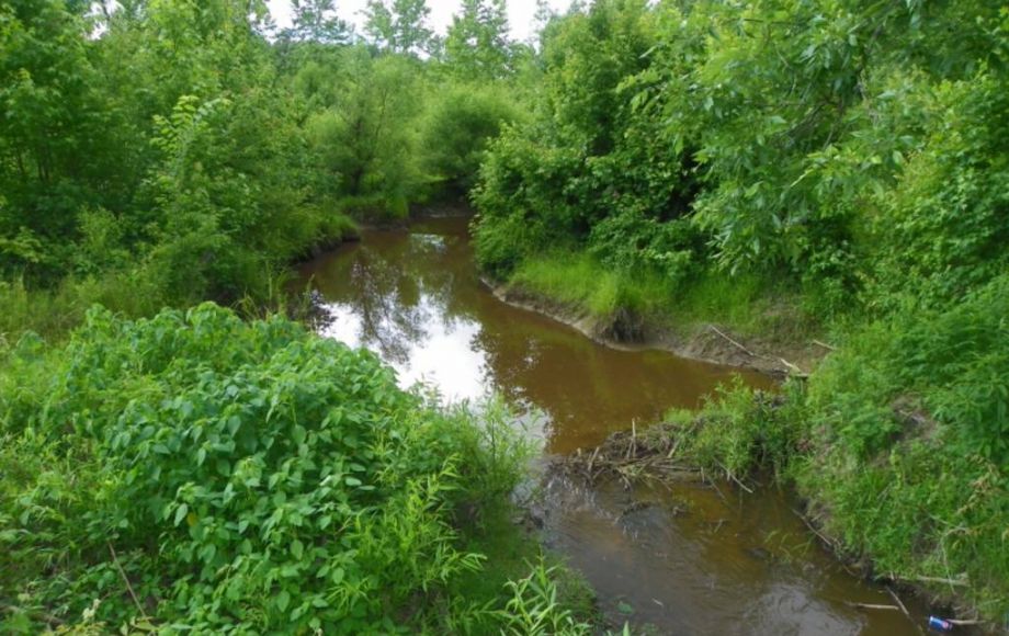 Image for 122 ACRES in LOUISA COUNTY NEAR HANOVER COUNTY LINE & LAKE ANNA