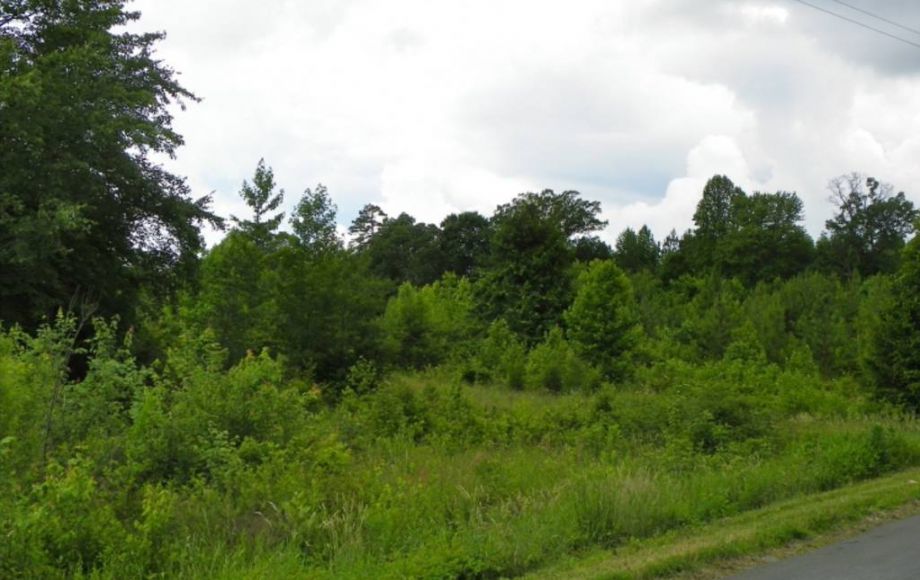 Image for 122 ACRES in LOUISA COUNTY NEAR HANOVER COUNTY LINE & LAKE ANNA