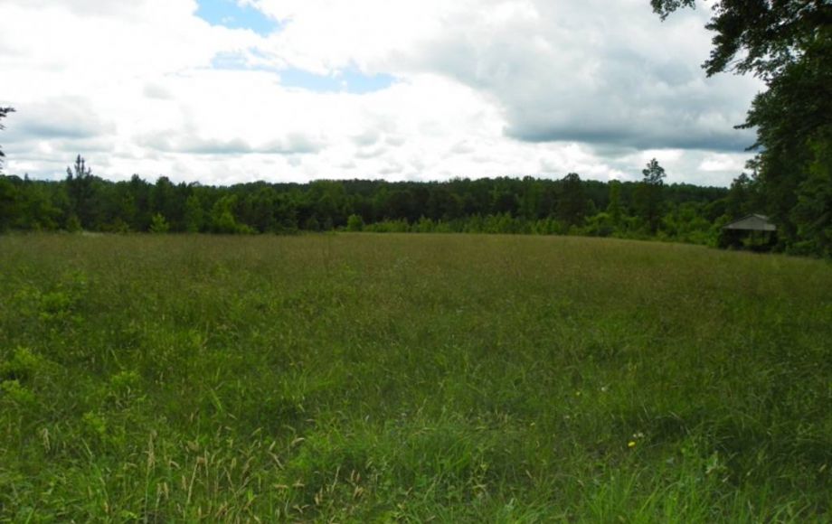 Image for 122 ACRES in LOUISA COUNTY NEAR HANOVER COUNTY LINE & LAKE ANNA