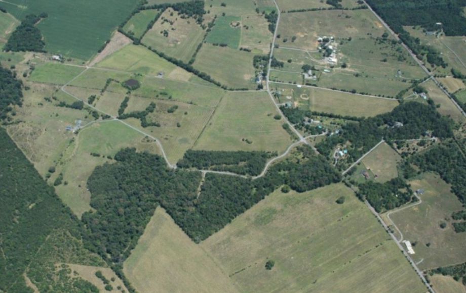 Image for 33+/- ACRES w/1,700 ft. of ROAD FRONTAGE in BERRYVILLE, VA