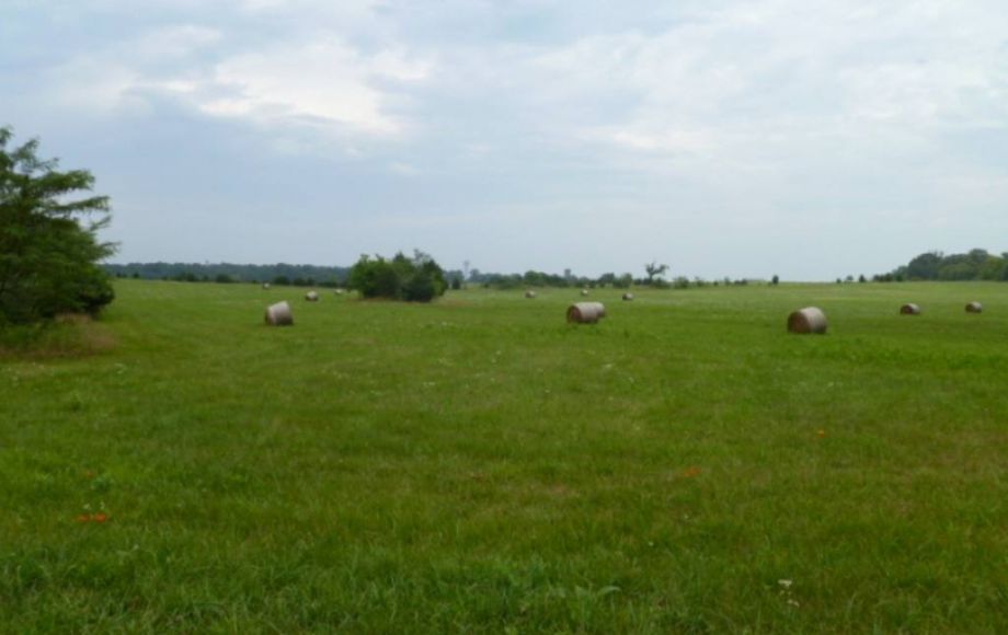 Image for 33+/- ACRES w/1,700 ft. of ROAD FRONTAGE in BERRYVILLE, VA