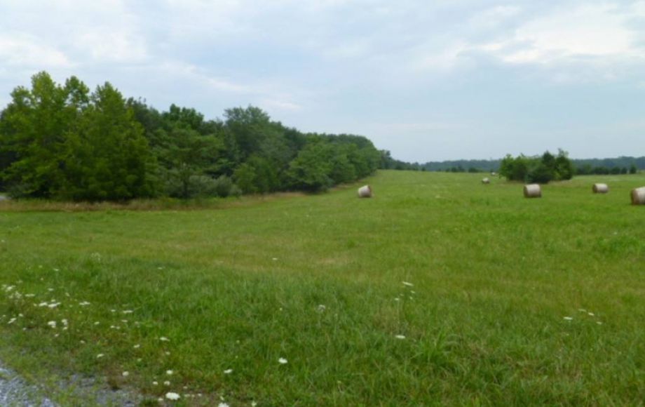 Image for 33+/- ACRES w/1,700 ft. of ROAD FRONTAGE in BERRYVILLE, VA