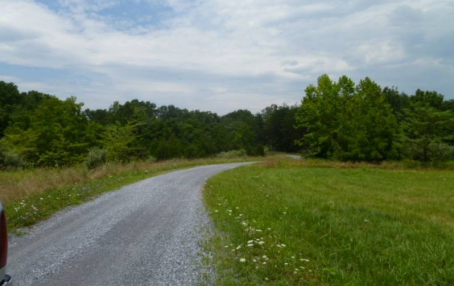 Image for 33+/- ACRES w/1,700 ft. of ROAD FRONTAGE in BERRYVILLE, VA