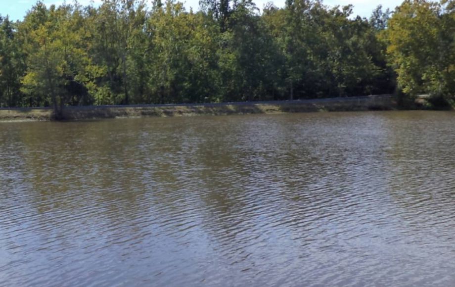 Image for 41.6 ACRES of GORGEOUS LAND in GOOCHLAND COUNTY, VA