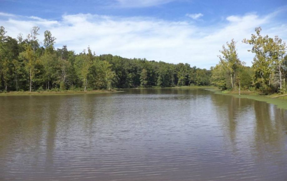 Image for 41.6 ACRES of GORGEOUS LAND in GOOCHLAND COUNTY, VA