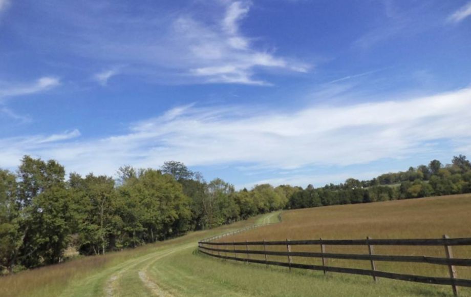 Image for 41.6 ACRES of GORGEOUS LAND in GOOCHLAND COUNTY, VA