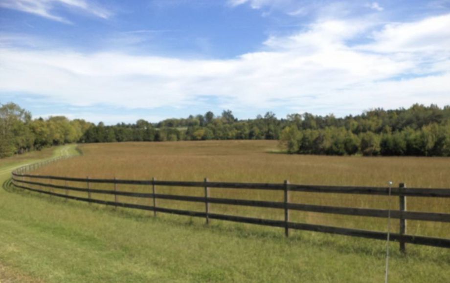 Image for 41.6 ACRES of GORGEOUS LAND in GOOCHLAND COUNTY, VA