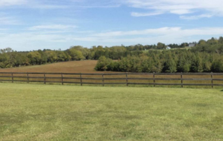 Image for 41.6 ACRES of GORGEOUS LAND in GOOCHLAND COUNTY, VA