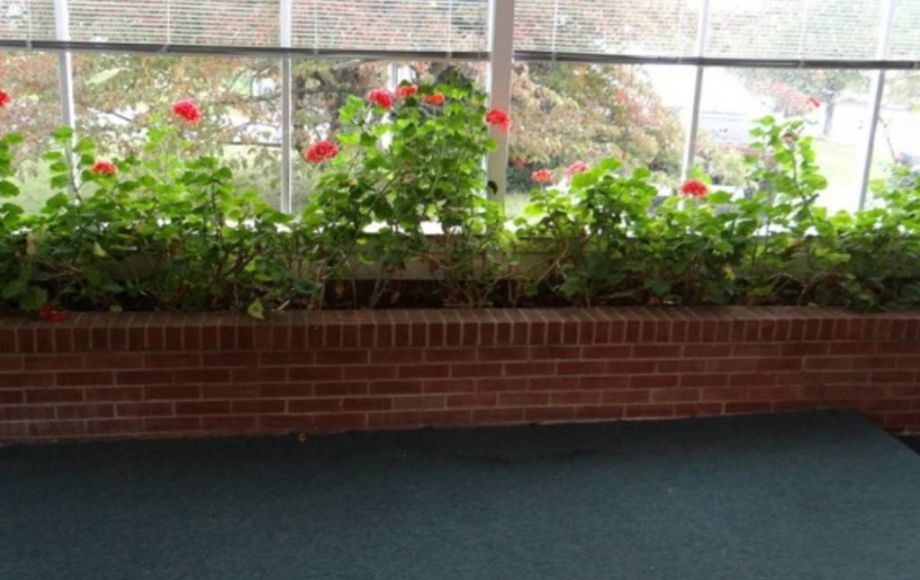 Image for IMMACULATE 3 BR/2 BA HOME in PULASKI, VA