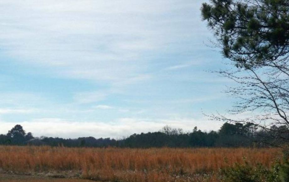 Image for 6 VIRGINIA HOMES & LAND PARCELS