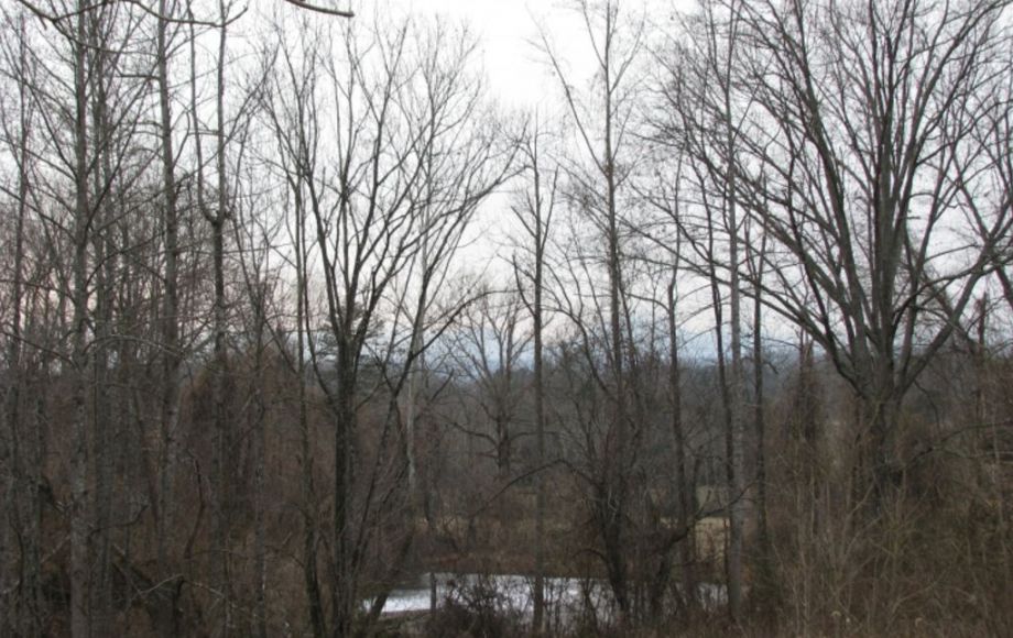 Image for ABSOLUTE AUCTION—4 BR/4 BA HOME on 3.4 ACRES