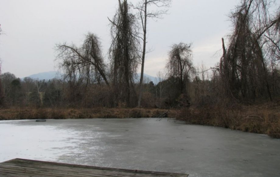 Image for ABSOLUTE AUCTION—4 BR/4 BA HOME on 3.4 ACRES