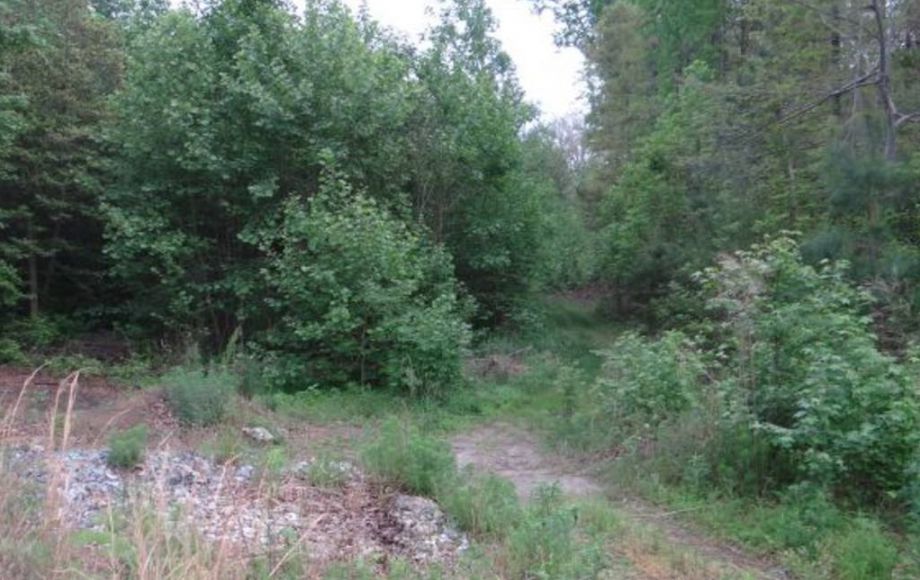 Image for ABSOLUTE AUCTION-24 ACRE APPROVED SUBDIVISION in KING GEORGE, VA