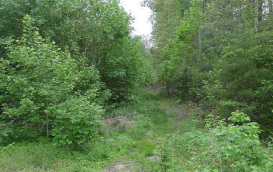 Image for ABSOLUTE AUCTION-24 ACRE APPROVED SUBDIVISION in KING GEORGE, VA