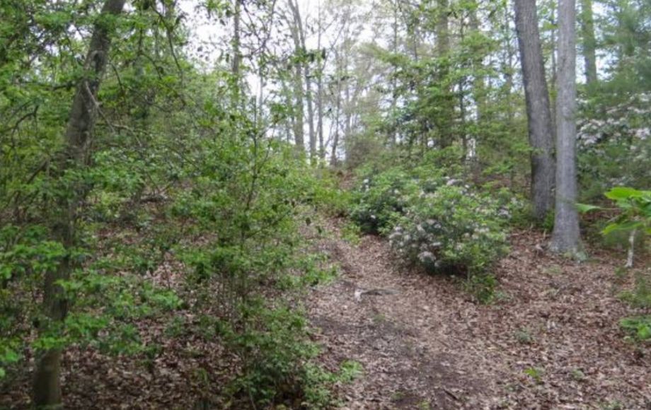 Image for ABSOLUTE AUCTION-24 ACRE APPROVED SUBDIVISION in KING GEORGE, VA