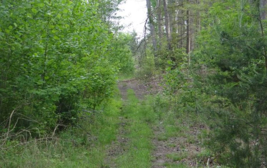 Image for ABSOLUTE AUCTION-24 ACRE APPROVED SUBDIVISION in KING GEORGE, VA