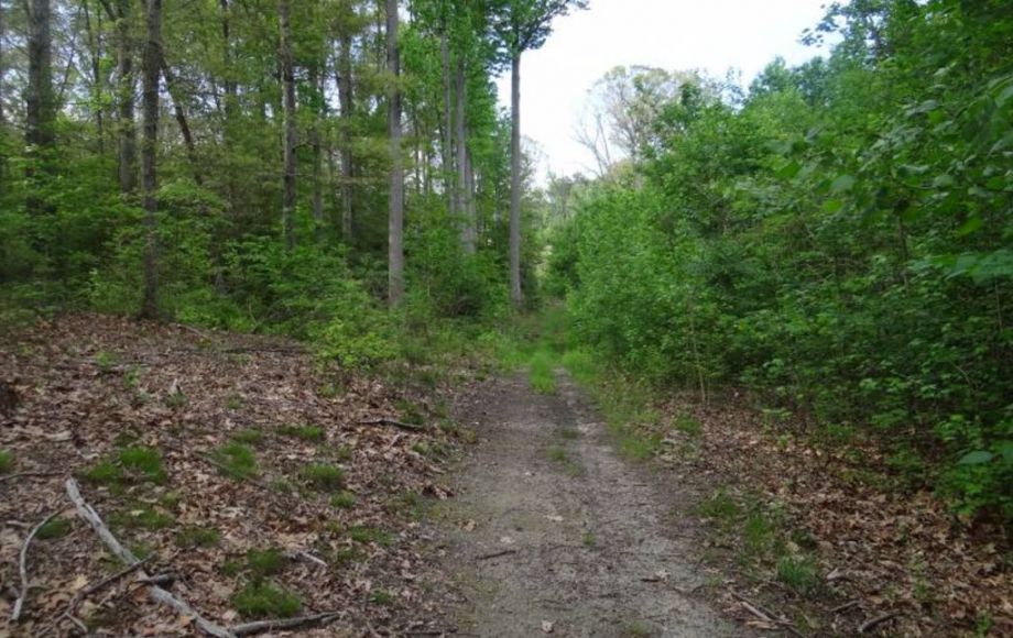 Image for ABSOLUTE AUCTION-24 ACRE APPROVED SUBDIVISION in KING GEORGE, VA