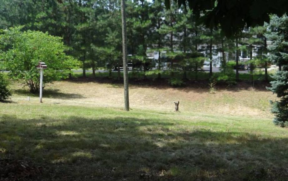 Image for 3 BR HOME on 1 ACRE SOLD!! $80,300