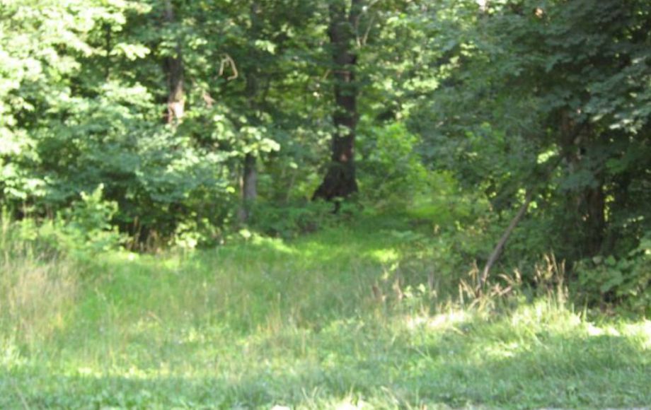 Image for 3 LAND PARCELS SOLD!! $715,000