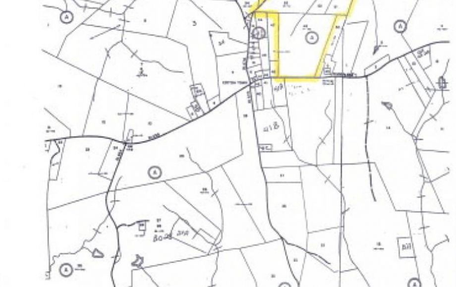 Image for 151 WOODED ACRES at ABSOLUTE AUCTION