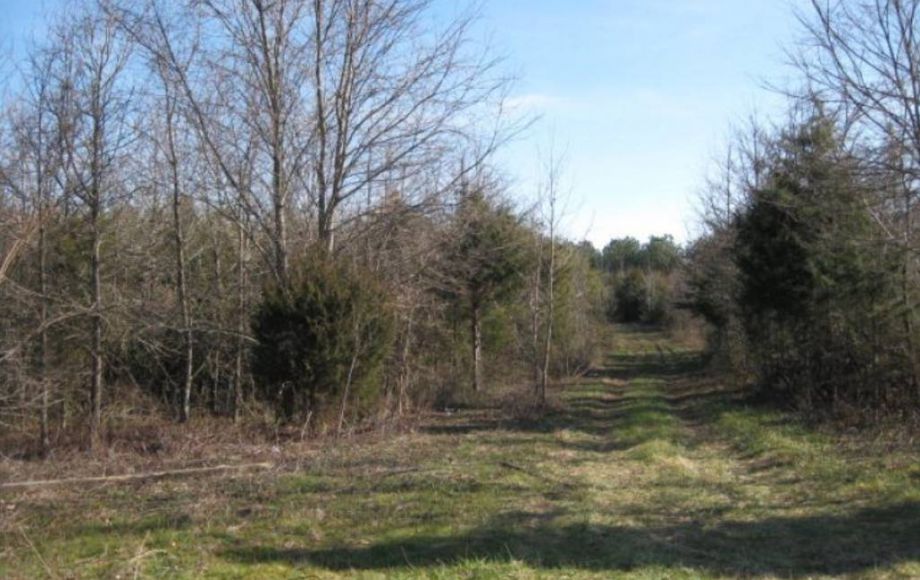Image for 151 WOODED ACRES at ABSOLUTE AUCTION