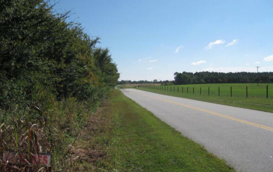 Image for 151 WOODED ACRES at ABSOLUTE AUCTION