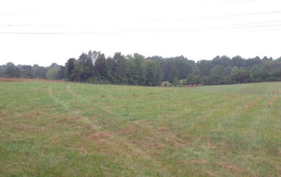 Image for 3 BR/2 BA HOME on 51+/- ACRES