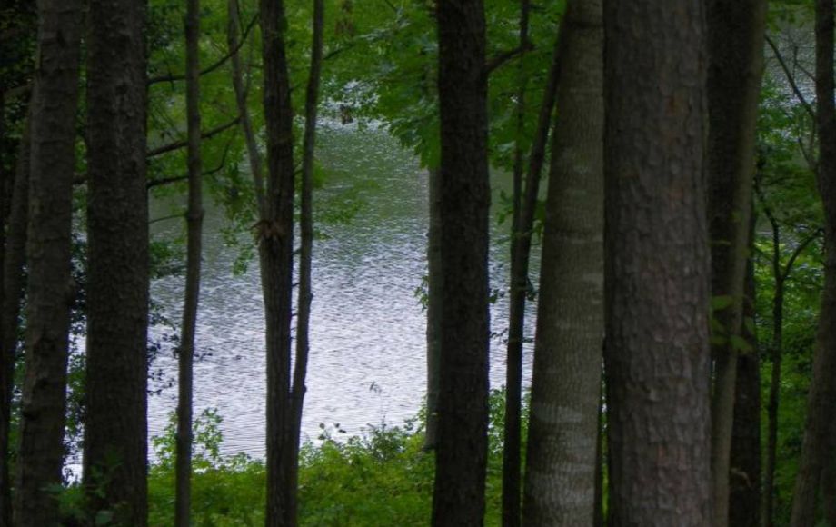 Image for 2 LAKE FRONT LOTS—ONLINE AUCTION ONLY