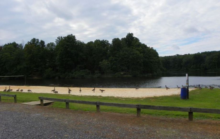 Image for 2 LAKE FRONT LOTS—ONLINE AUCTION ONLY