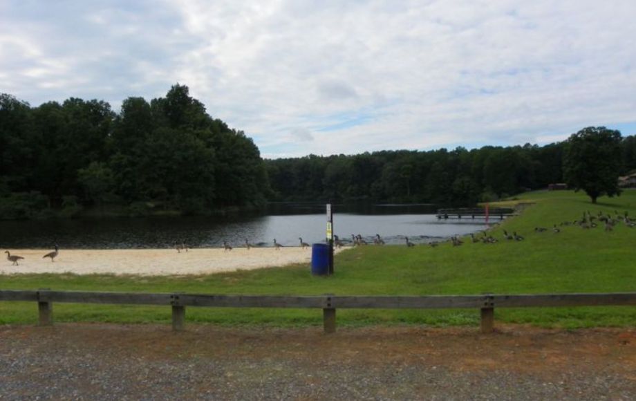 Image for 2 LAKE FRONT LOTS—ONLINE AUCTION ONLY