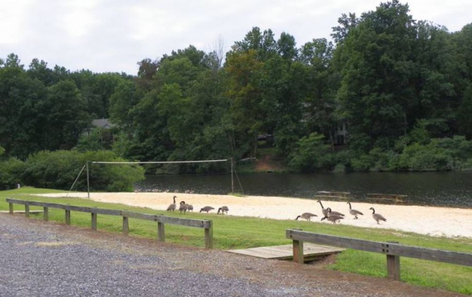 Image for 2 LAKE FRONT LOTS—ONLINE AUCTION ONLY