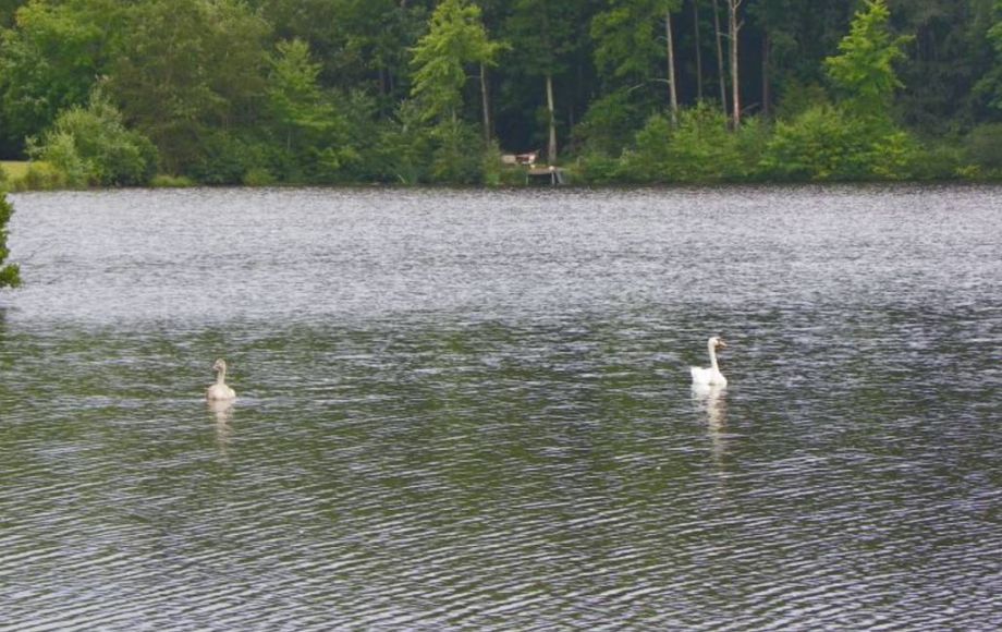 Image for 2 LAKE FRONT LOTS—ONLINE AUCTION ONLY