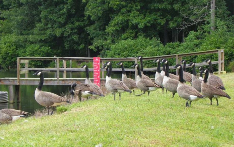 Image for 2 LAKE FRONT LOTS—ONLINE AUCTION ONLY