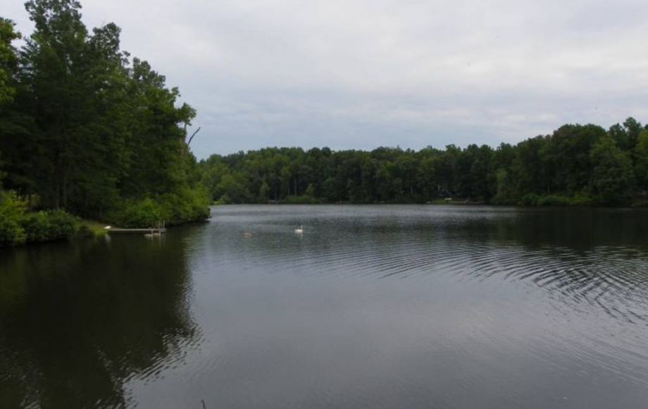 Image for 2 LAKE FRONT LOTS—ONLINE AUCTION ONLY