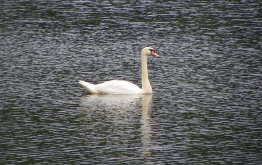 Image for 2 LAKE FRONT LOTS—ONLINE AUCTION ONLY