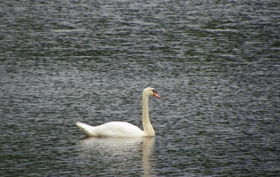 Image for 2 LAKE FRONT LOTS—ONLINE AUCTION ONLY