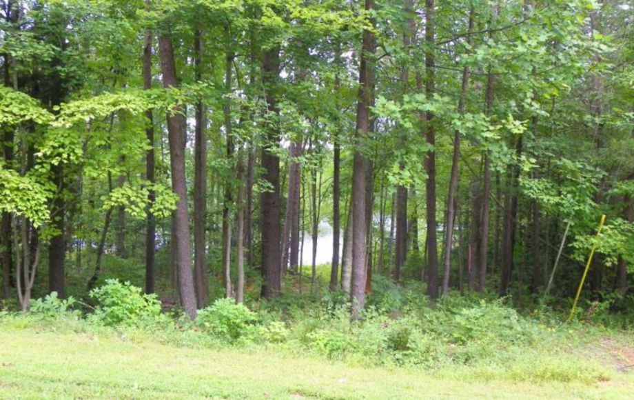 Image for 2 LAKE FRONT LOTS—ONLINE AUCTION ONLY