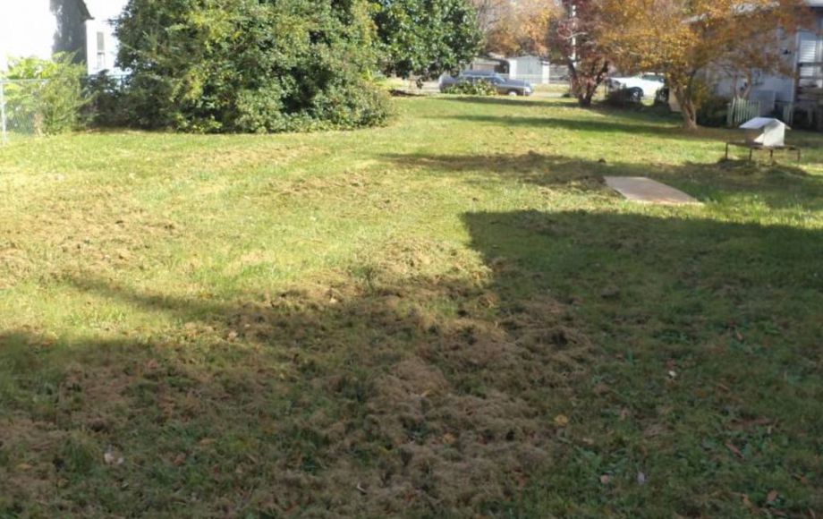 Image for 3 BR HOME w/EXTRA LOT