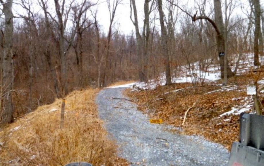 Image for 42 +/- ACRES in LOUDOUN COUNTY, VA