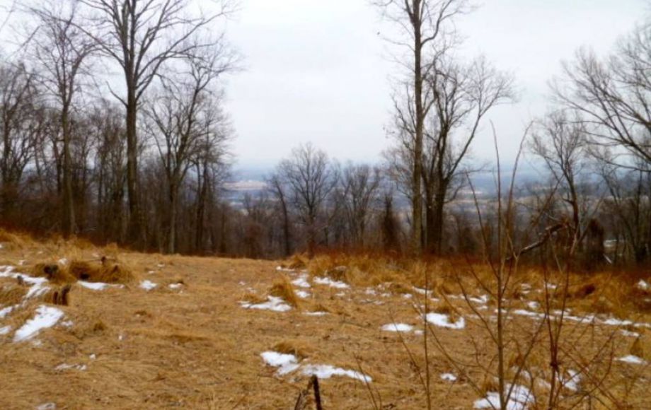 Image for 42 +/- ACRES in LOUDOUN COUNTY, VA