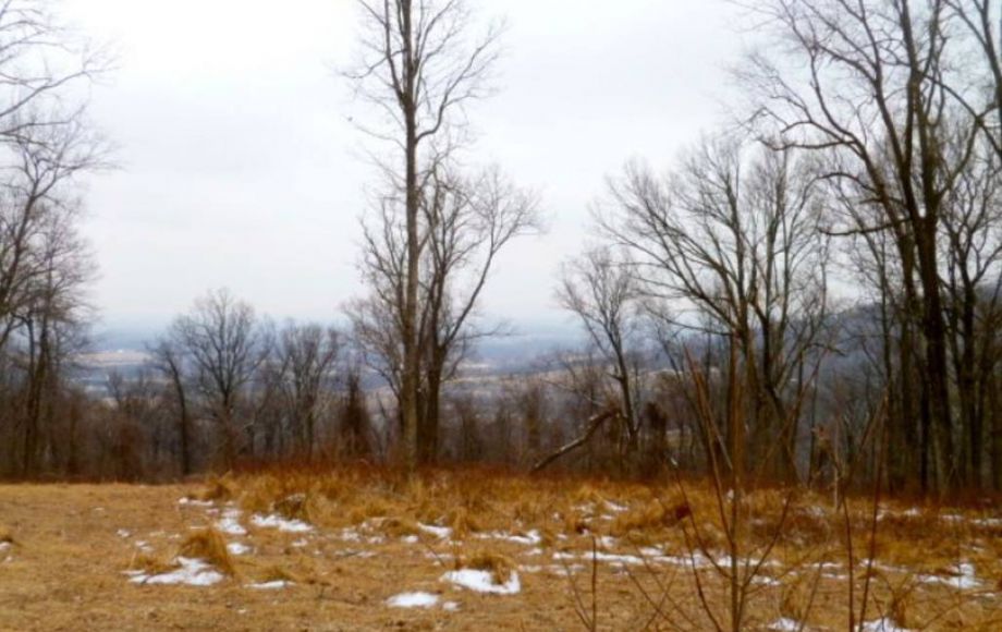 Image for 42 +/- ACRES in LOUDOUN COUNTY, VA